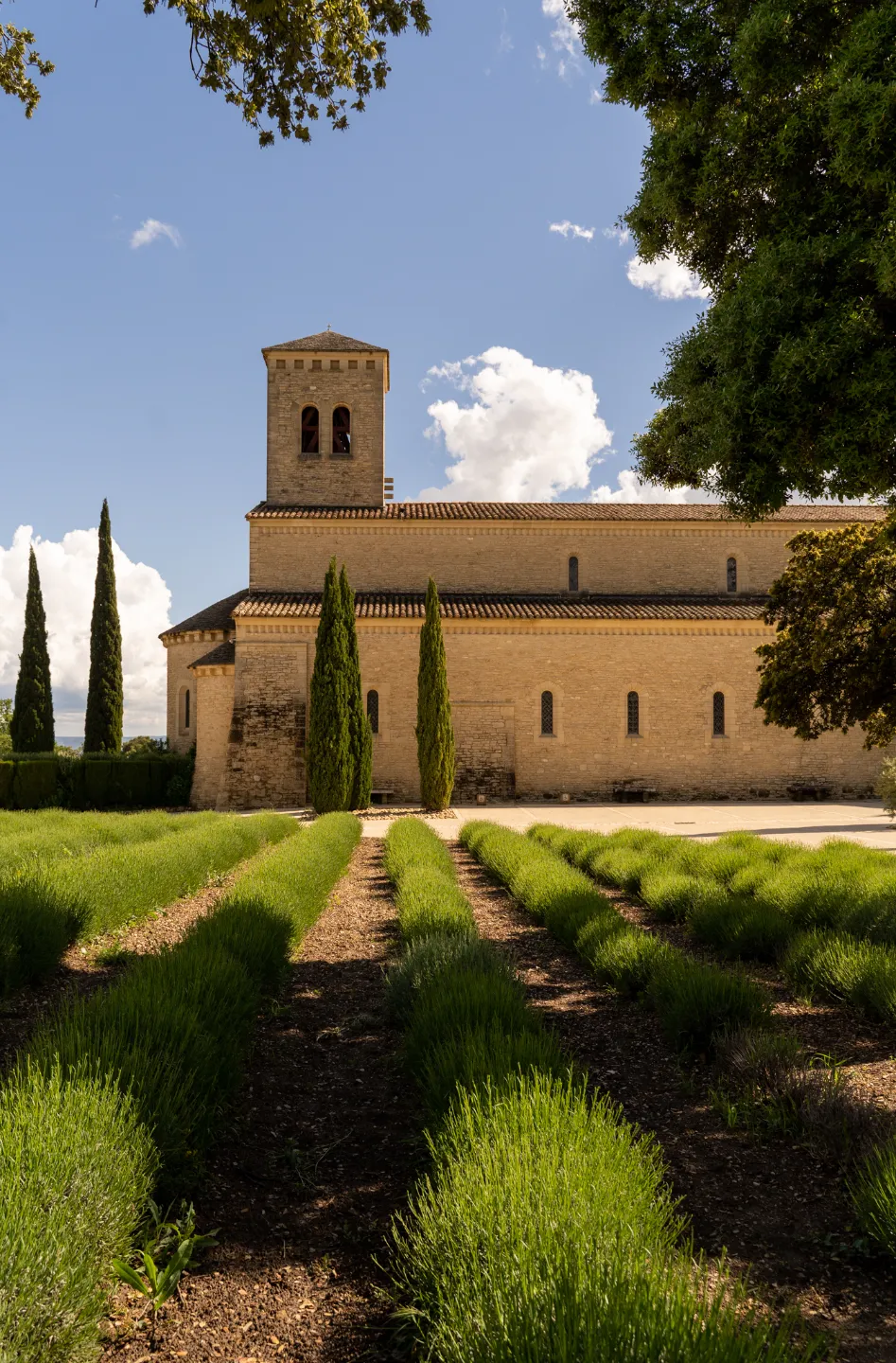 Abbaye Sainte-Madeleine du Barroux