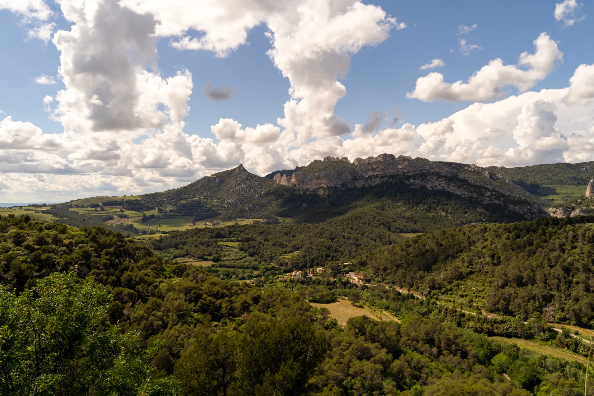Dentelles de Montmirail